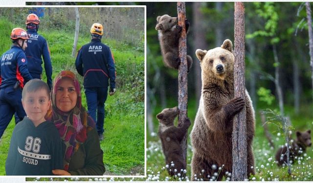 Kastamonu’da kayıp anne ve oğlu aranırken 8 ayı tespit edildi!