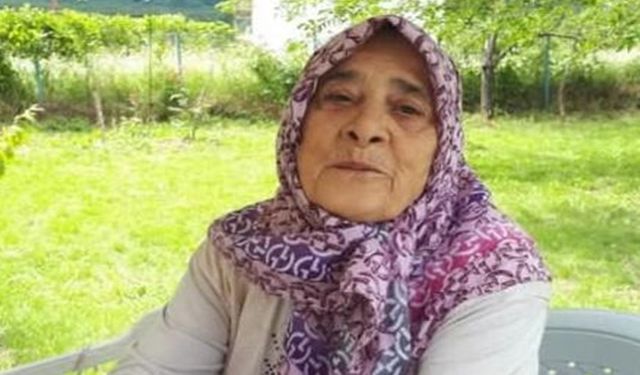 Kastamonu Çatalzeytin Haberleri