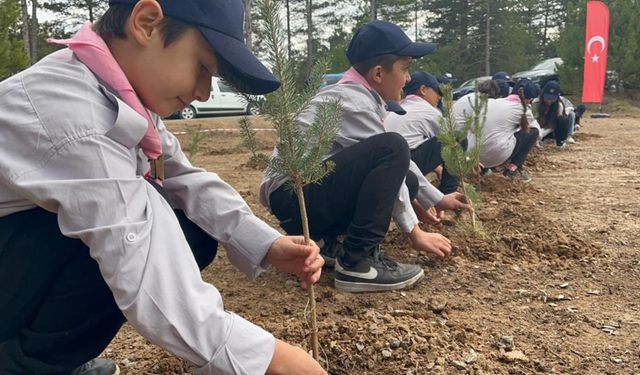 Kastamonu’da Yüzlerce Fidan Toprakla Buluştu