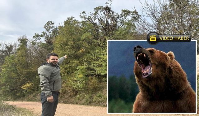 Kastamonu’da Anne Ayı ve İki Yavrusu Meşe Ağacında Görüntülendi