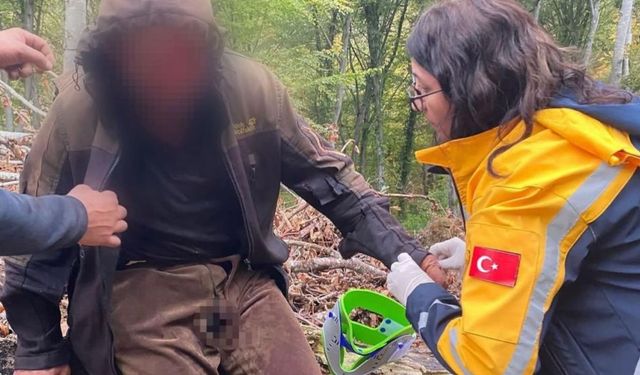 Kastamonu’da Ayı Saldırısı: Ekipler Yaralıya Güçlükle Ulaştı