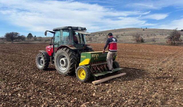 Kastamonu’da Çiftçiler Tarlada, Ekipler Sahada! Hububat Ekimi Aralıksız Sürüyor