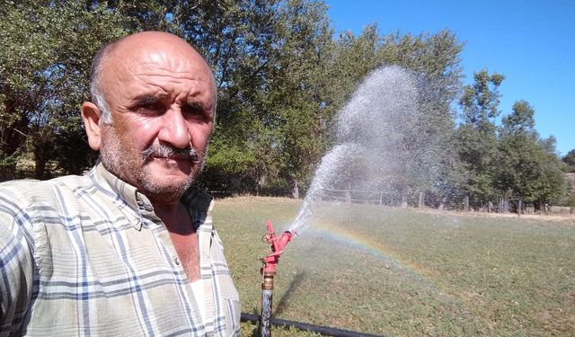 Kastamonu'da domuz avı ölümle sonuçlandı: Sanıklar için istenen ceza belli oldu!