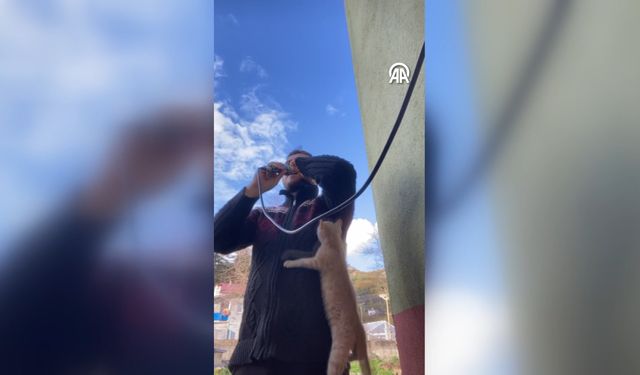 Kastamonu'da ezan okuyan imamın üstüne tırmanan kedi gündem oldu