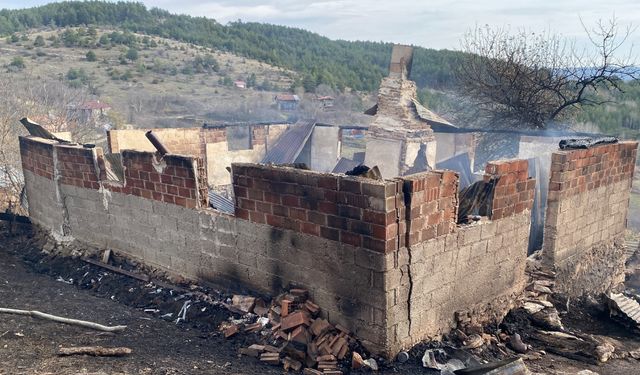 Kastamonu'da feci olay: Alevlere teslim olan evde yanarak yaşamını yitirdi