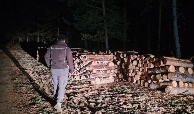 Kastamonu’da Gece Denetimi: Ormanlarda Usulsüzlüğe Geçit Yok