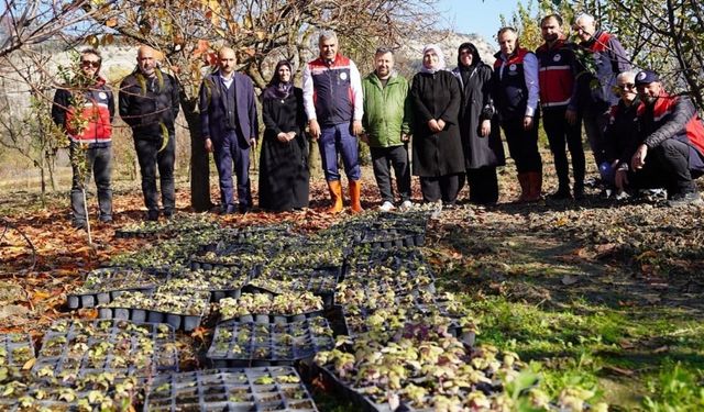 Kastamonu’da Kadınlara Güç Veren Proje: 24 Bin Fide Dağıtımı Yapıldı