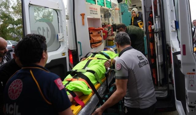 Kastamonu'da Mantar Toplarken Kabus Yaşadı: İmam Ayı Saldırısında Yaralandı