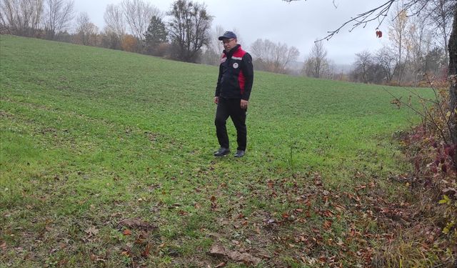 Kastamonu'da veriler doğrulandı, destek süreci hızlandı