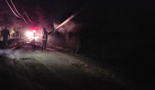 Kastamonu'nun ilçesinde gece saatlerinde alevler yükseldi