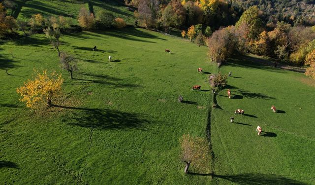Kastamonu'nun ilçesinde rengarenk görüntüsüyle büyülüyor