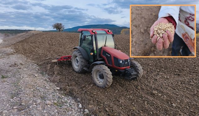 Kastamonu'da 12 binlik yıllık tohum yeniden toprakla buluştu