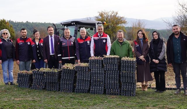 Kastamonu’da Tıbbi ve Aromatik Bitki Üretimine Destek: Kadın Çiftçilere Fide Dağıtımı Yapıldı