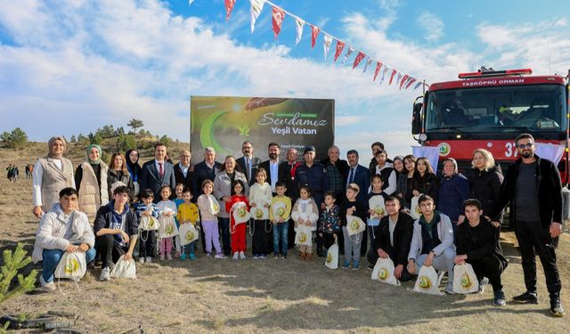 Taşköprü’de Yüzlerce Karaçam Fidanı Toprakla Buluştu