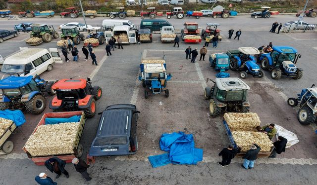 Taşköprü Sarımsağı Soğuk Havalara Rağmen Pazarın Gözdesi