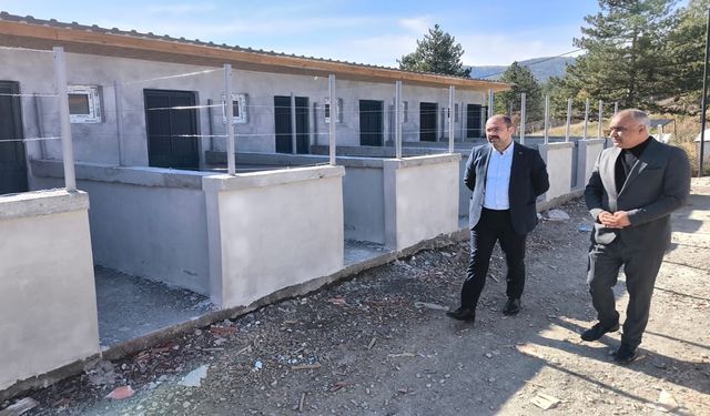 Tosya’da Sokak Hayvanları İçin Modern Rehabilitasyon Merkezi Yükseliyor