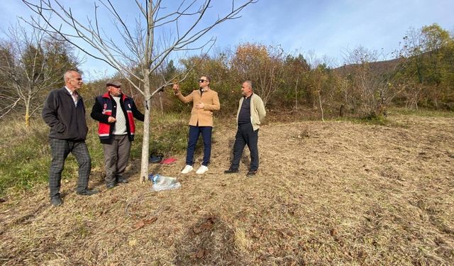 Çatalzeytin’de çiftçilere budama ve fide eğitimi verildi
