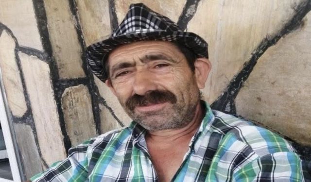 Devrilen ağaç can aldı: Komşu tutuklandı