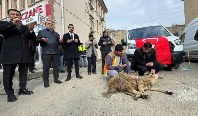 Hanönü Belediyesi filosuna yeni araç: Hibe için kurban kesildi
