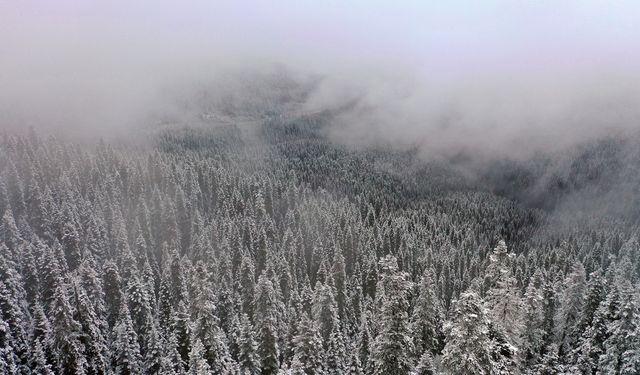 Kastamonu'da Kış Sürprizi: Ilgaz Dağı Havadan Görüntülendi