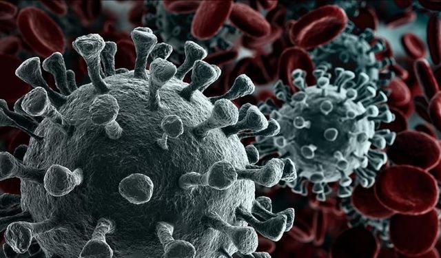 Kanserden ölüm oranı en yüksek iller açıklandı: Liste şaşırttı