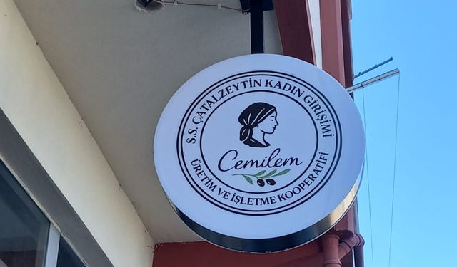 Kastamonu'da Kadın Girişimi Kooperatifi kuruldu: İlçe kadın eliyle tanıtılacak