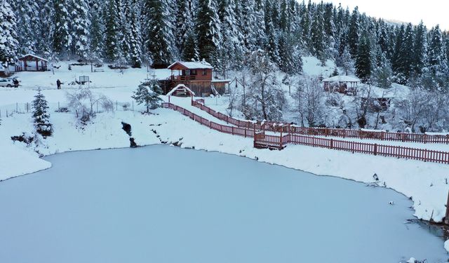 Kastamonu'nun ilçesindeki orman parkı beyaza büründü: Kartpostallık görüntüler oluştu!