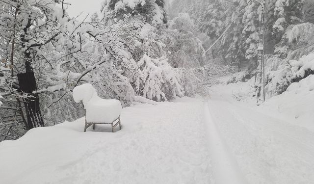Kastamonu Beyaza Büründü: Kartpostallık Manzaralar Oluştu