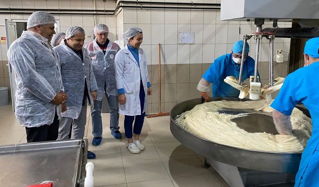 Kastamonu’da Gıda İşletmelerine Yerinde Denetim ve İnceleme