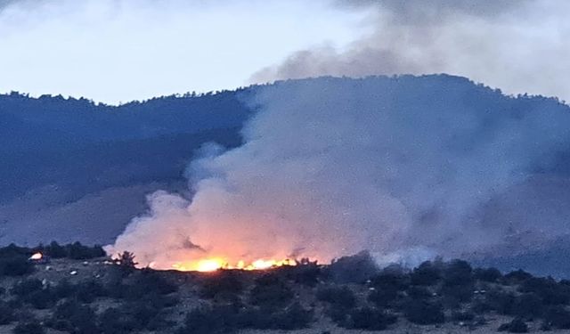 Kastamonu’da Orman Yangını Çıktı: Ekipler Seferber Edildi