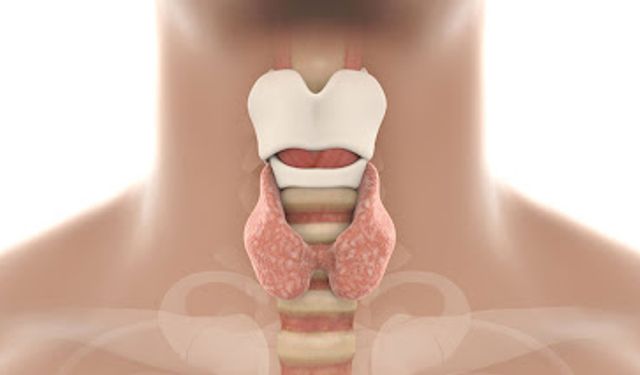 Uzman doktor uyardı: Günde yarım paketten fazla sigara içenler dikkat!