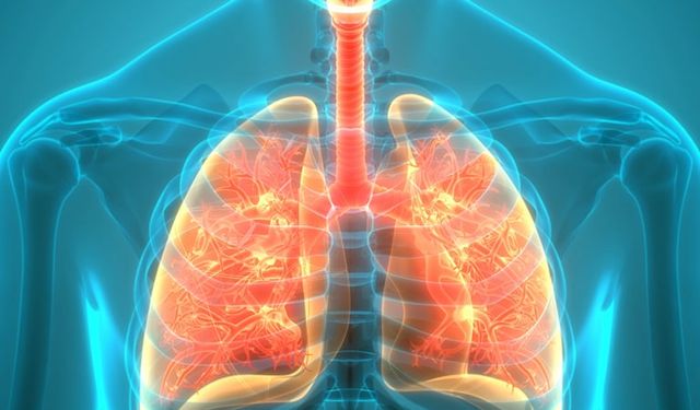 Uzmanından uyarı! Bu hastalık yüksek ölüm oranına sahip: Risk oluşturmaya devam ediyor!