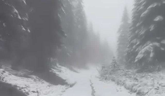 Yüksek kesimlerde kar yağışı etkili oldu: Doğa beyaz örtüyle kaplandı