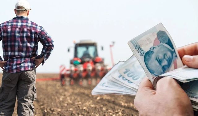 Kastamonu'da çiftçi borç para istiyor: 'Tercih değil zorunluluk'