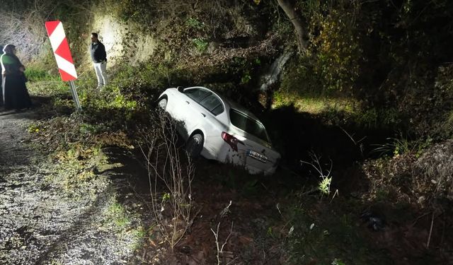 Kastamonu'da kaza: Araç şarampole devrildi