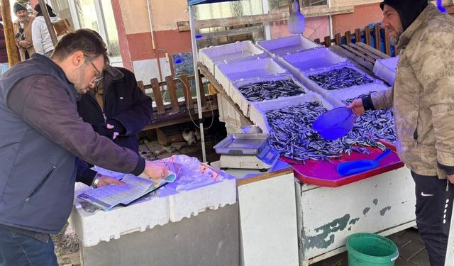 Kastamonu’nun ilçesinde su ürünleri denetimi