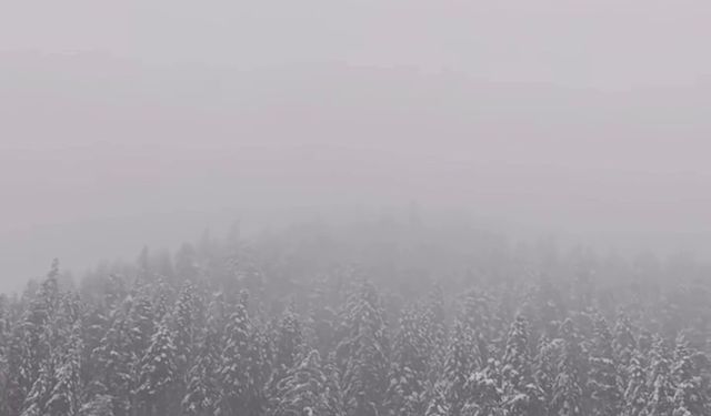 Kastamonu’da Kar Yüzünü Yeniden Gösterdi: Ilgaz Dağı Beyaza Büründü