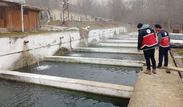 Kastamonu’da Su Ürünleri Tesislerine Kapsamlı Denetim