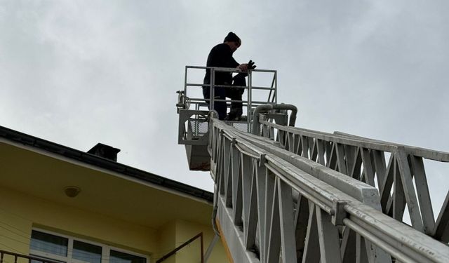 Taşköprü'de çatıda mahsur kalan hayvan kurtarıldı