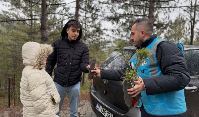 AK Parti Kastamonu vatandaşlara çam fidanı hediye etti