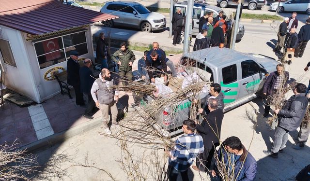 Hanönü'de vatandaşlara 2 bin fidan dağıtıldı