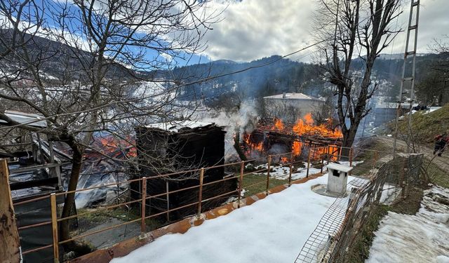 İftar öncesi kabus: Kastamonu’da 2 ev ve bir ambar kül oldu