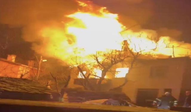 Kastamonu'da korkutan yangın: Geceyi alevler aydınlattı!