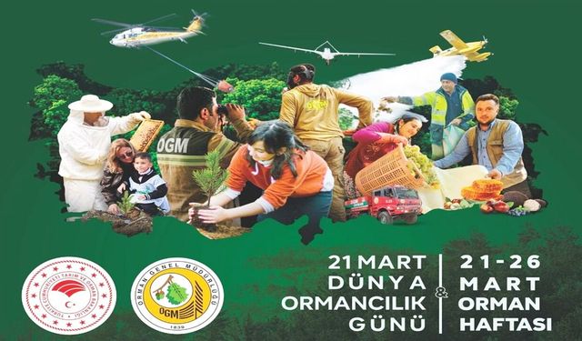 Kastamonu’da Orman Haftası kutlanacak: Fidanlar toprakla buluşacak