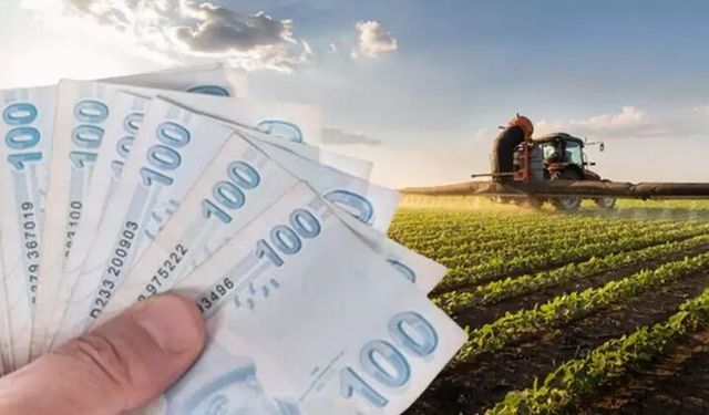 Kastamonu'da 425 milyon TL destek hesaplara yatacak