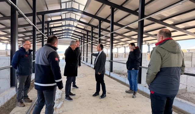 Kastamonu'da Besi Orgazine Tarım Bölgesi'nde çalışmalar incelendi