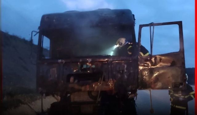 Kastamonu'da seyir halindeki tır alev aldı