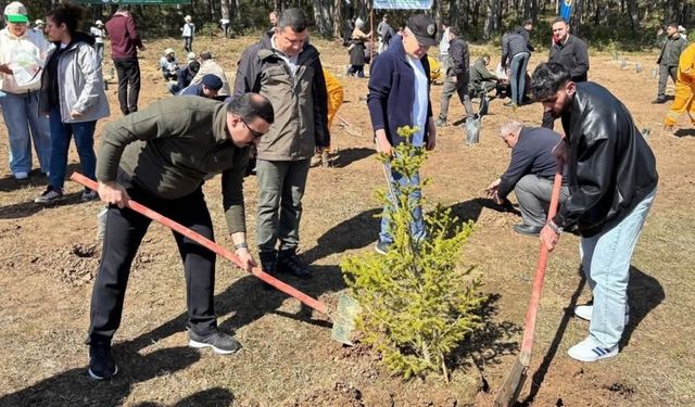 Kastamonu’nun ilçesinde 200 fidan toprakla buluştu