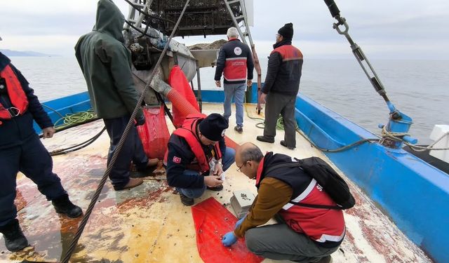Kastamonu'nun ilçesinde balıkçı tekneleri denetlendi