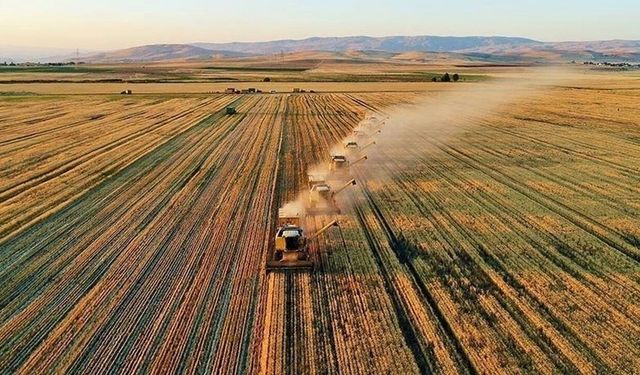 Kastamonu'da Ziraat Odası Başkanından tepki: 'Bu fiyat çiftçiyi soğutur'